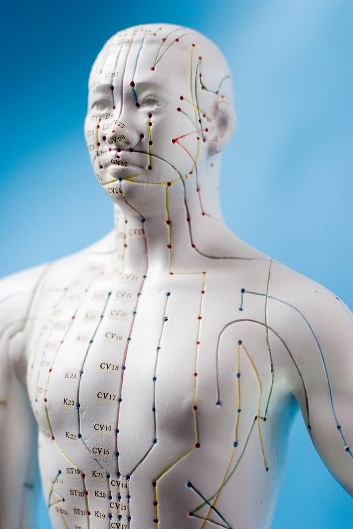 chinese acupuncture points - fuigure